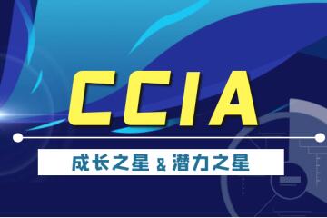 實(shí)力認可|遠望信息入選“2020年中國網(wǎng)絡(luò )安全成長(cháng)之星”