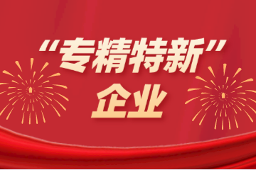 喜訊！遠望信息入選浙江省“專(zhuān)精特新”企業(yè)名單