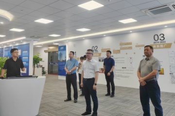 杭州市經(jīng)信局副局長(cháng)林昀一行來(lái)遠望信息考察調研